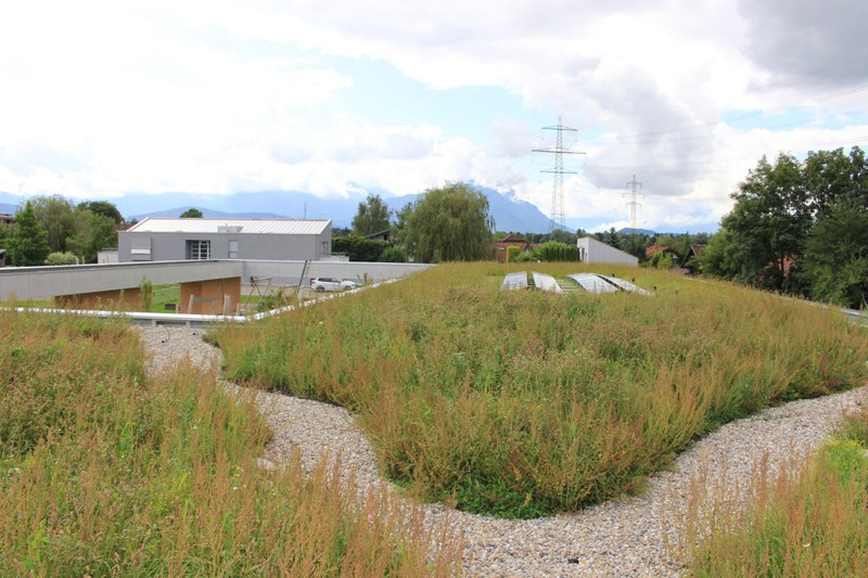 Biodiversität statt deponieren: Bodenaushub zur Dachbegrünung in Koblach