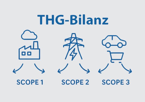 THG Bilanz.jpg